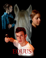 2005 Equus